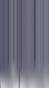 Drills & skills with the Level 4s at the USAG Kansas State Clinic 🤸 #Gymnastics #CompetitiveGymnastics | Pinnacle Gymnastics