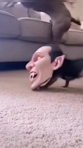 #funny | 123 GO Challenge