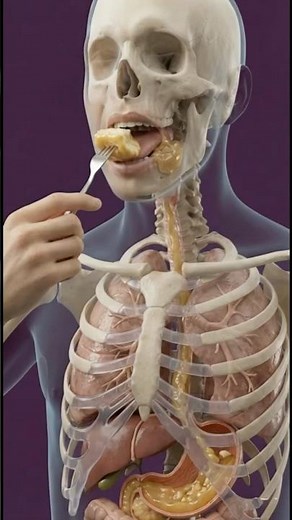 What Happens to Your Body When You Eat Dessert Before Dinner 🍰 #facts #healthy