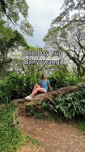 Explore Banyuwangi: Private Tour, Solo Trip, and More!