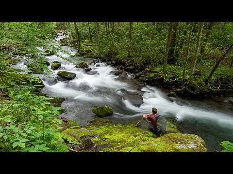 Great Smoky Mountains National Park Backpacking (TN) - May 2023