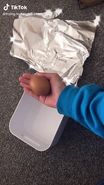 How to Hatch a Chick from an Egg: Step-by-Step Guide