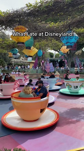 Delicious Disneyland Food Experience: What I Ate at Disney