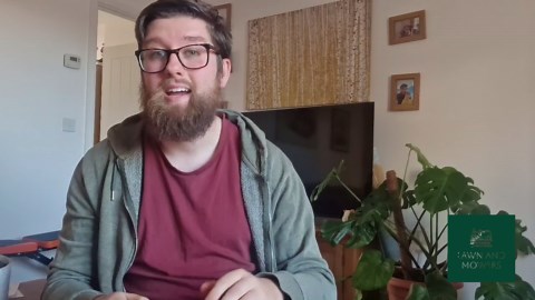 The 10 Best Indoor Plants For Winter