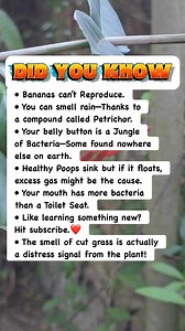 1.8M views · 9.7K reactions |  Science Facts That’ll Blow Your Mind! #facts | Devlop's Puzzle Game | Facebook