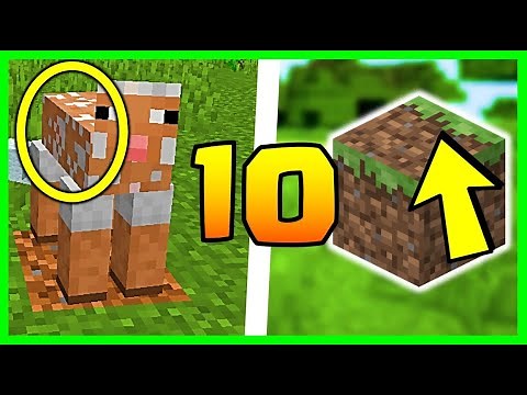 10 SECRETS ABOUT GRASS IN MINECRAFT 1.16