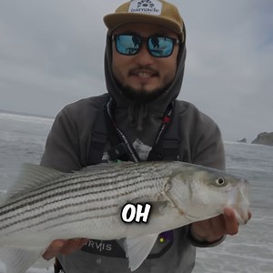 Surf Fishing for California Striped Bass Sashimi! | Addicted Fishing