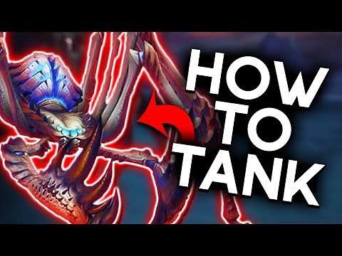 In-Depth Guide on How to Tank Ara-Kara! (Prot Paladin POV)
