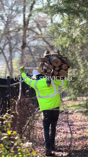 From tree to truck—hard work, strong team! Loading up and moving out! #treeservice #hardwork