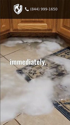 Toilet Overflowing? Lift the Tank Lid and Do This