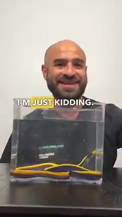 1.7M views · 19K reactions | This eel is a notorious escape artist but I have experience with escape artists  #thereefdoc #morayeel #eel #octopus #petoctopus | The Reef Doc | Facebook