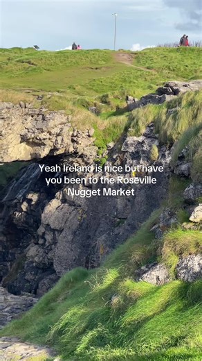 Discover the Roseville Nugget Market Experience