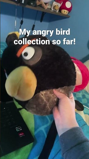 Angry birds plush collection. And all of these plushies won’t be in the series. (Maybe sometimestho)
