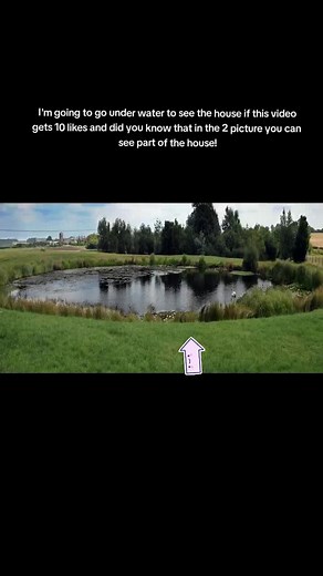 Exploring the Underwater Teletubbies Set