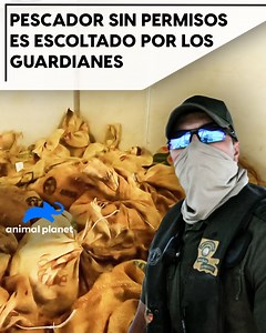 2.5M views · 5.7K reactions | Un bote grande es examinado por los Guardianes de caza y pesca y parece que tienen una serie de problemas dentro de su embarcación.#GuardianesdeLuisiana #F | Animal Planet Latinoamérica | Facebook