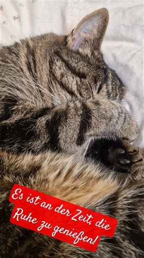 Was wollen die Engel dir mitteilen?