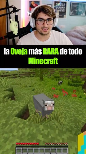 THE WEIRDEST SHEEP IN ALL OF MINECRAFT 🐑