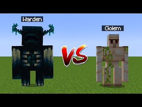 Warden vs Iron Golem