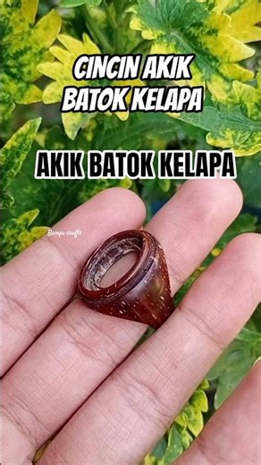 Coconut shell agate ring