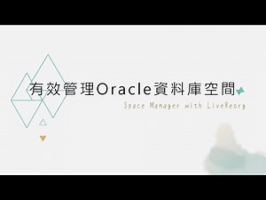 Oracle資料庫空間重整與性能最佳化解決方案