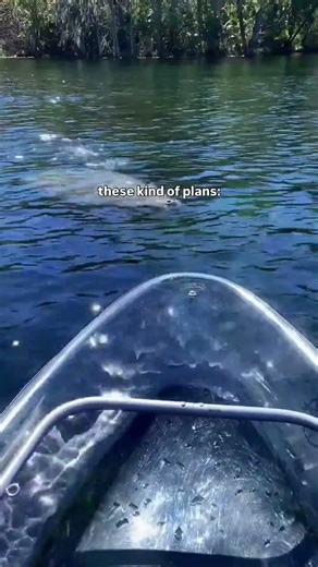 Nothing beats a day of clear kayaking along a beautiful spring fed river in Florida