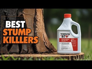 Best 5 Stump Killers in 2025 – Effective Solutions for Tree Stump Removal