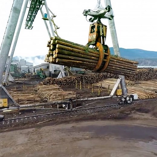 3.5M views · 44K reactions | A look at how lumber is processed starting with logs via Vaagen Brothers Lumber | Interesting Engineering | Facebook
