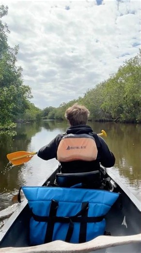 Canoeing with Crocodiles in the Florida Everglades