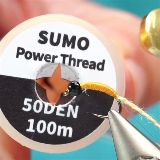 A Super effective Caddis Pupa with Mojo yarn