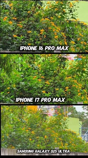 Best Flagship phone? Samsung Galaxy S25 ultra vs iPhone 17 Pro Max vs iPhone 16 Pro Max Camera Test
