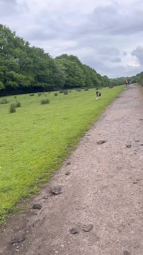 Barney THE FLASH | Stephen Kelleher