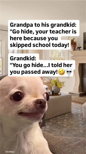 😂 Daily evil & hilarious memes 🐶 EVIL DOG — Official Meme Page 😈 Dark humor | satire only 🛒 EVIL DOG clothing & merch ⬇️ Shop via link in my bio ➡️ evildogofficial.com