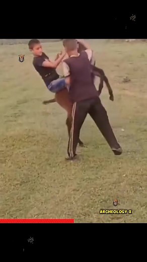 68K views · 1K reactions | Rare footage from animal world | Victoriapfeifer | Facebook