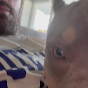 62K views · 2K reactions | It’s just puppy love ❤️ | Scott Disick | Facebook