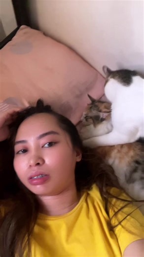 Grooming Tips for Cats: A Complete Guide