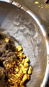 #TreasureHunt #TreasureHunter #Adventure #HiddenGems #Exploration | Gold Quest 24