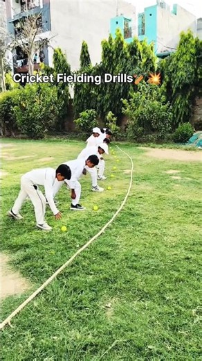 Fielding Drills🤲 #shorts #cricket #fielding