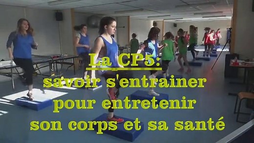 Step en CP5 niv3 2015