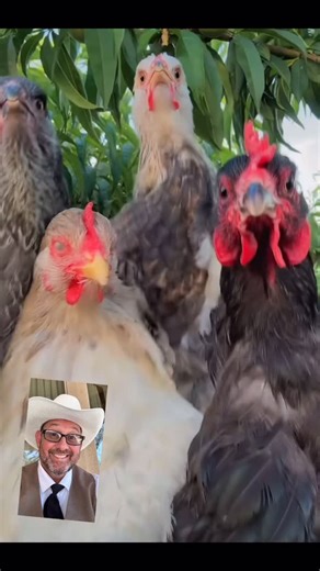 It’s finally Friday #friday #tgif | Raymond Ybarra