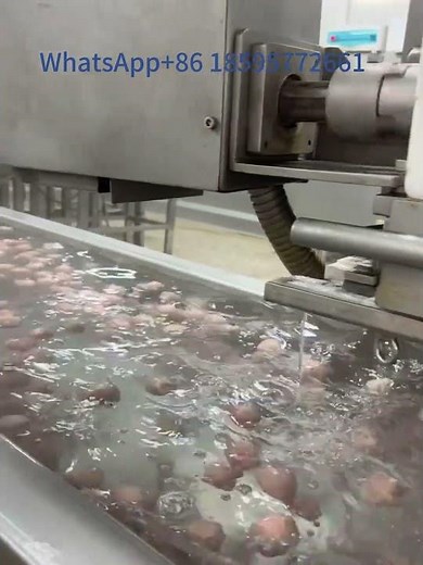 Beef ball production line.Meatball processing equipment; I am the manufacturer. #food #machine