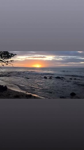 Christopher Clark on Reels