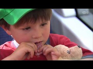 スイス 氷河急行2