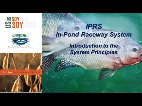 Introduction to Sustainable In-Pond Raceway System (IPRS) Principles