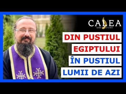 🔵 FROM THE DESERT OF EGYPT TO THE DESERT OF TODAY'S WORLD || Fr. IACHINT