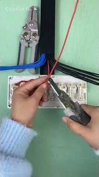 The Wise King and the Three Questions. عقلمند بادشاہ اور تین سوال