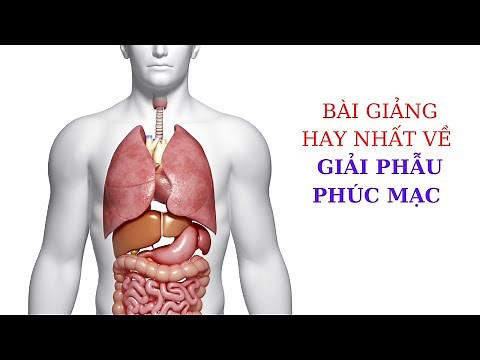 Phúc Mạc - Bài giảng giải phẫu PHÚC MẠC dễ hiểu nhất