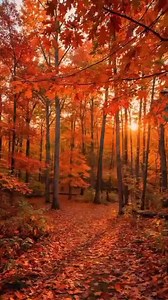 Theme From Mahogany (Do You Know Where You're Going To) Song by Diana Ross ‧ 1975 | Joanna Cajucom