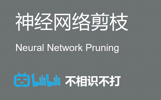 神经网络剪枝 Neural Network Pruning