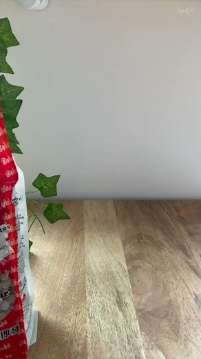 Make Brown Sugar Boba at Home🧋✨