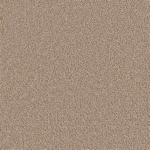 Check The Home Depot's Q&A Before Buying: Home Decorators Collection Perfected I - Flawless - Beige 40 oz. SD Polyester Texture Carpet - Installation Required